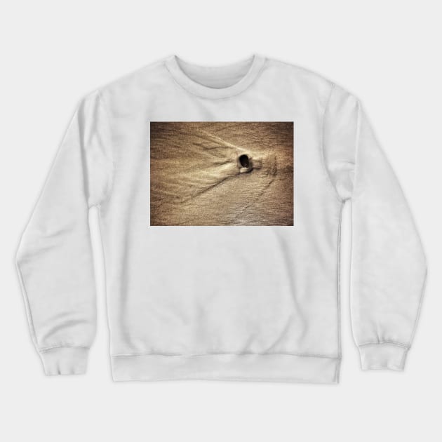 Stone Crewneck Sweatshirt by goodieg